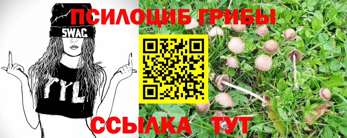 Галлюциногенные грибы Cubensis Магадан