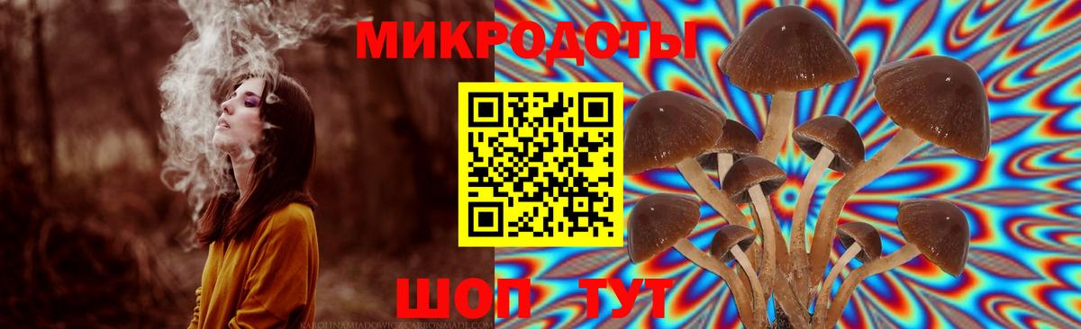 Псилоцибиновые грибы Magic Shrooms  Вход с VPN  Магадан 