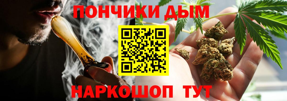 Конопля конопля Магадан